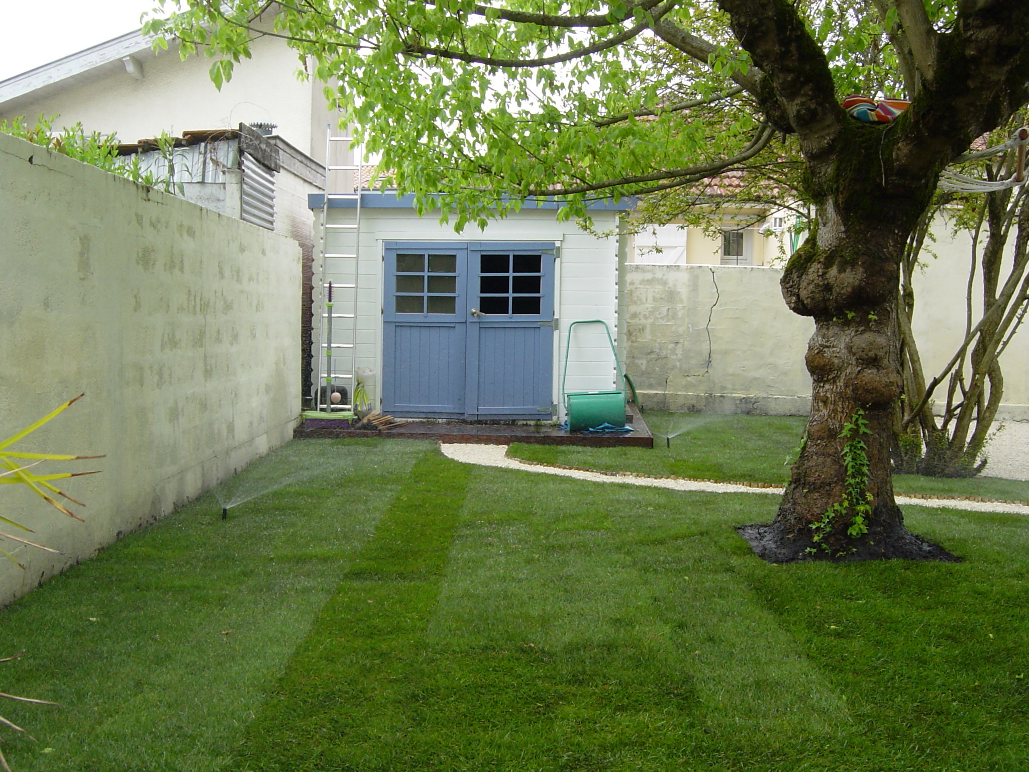 arrosage gazon en rouleau IDGREEN dans peitit jardin abrité A BORDEAUX