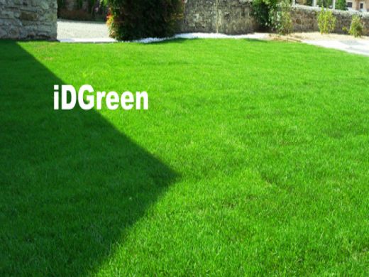 IDGREEN GAZON PERPIGNAN