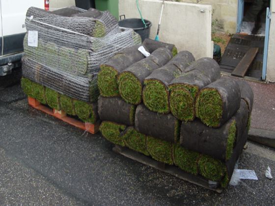 Gazon en rouleaux sur palette, livraison pour un jardin à Lyon